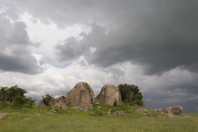 Storm Clouds Above Kopje